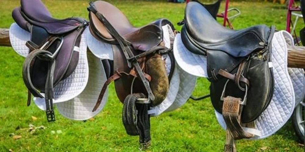 Top 7 Justifications for Investing in a Quality Saddle Pad Set for Your Horse