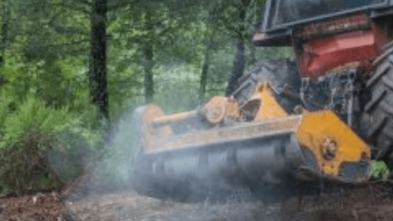 What Are The Advantages Of Mulching For Land Clearing?